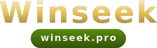 Winseek โลโก้